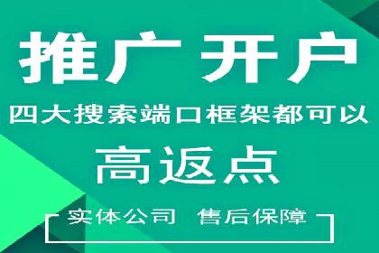 行业领先企业的SEM竞价代运营案例解析